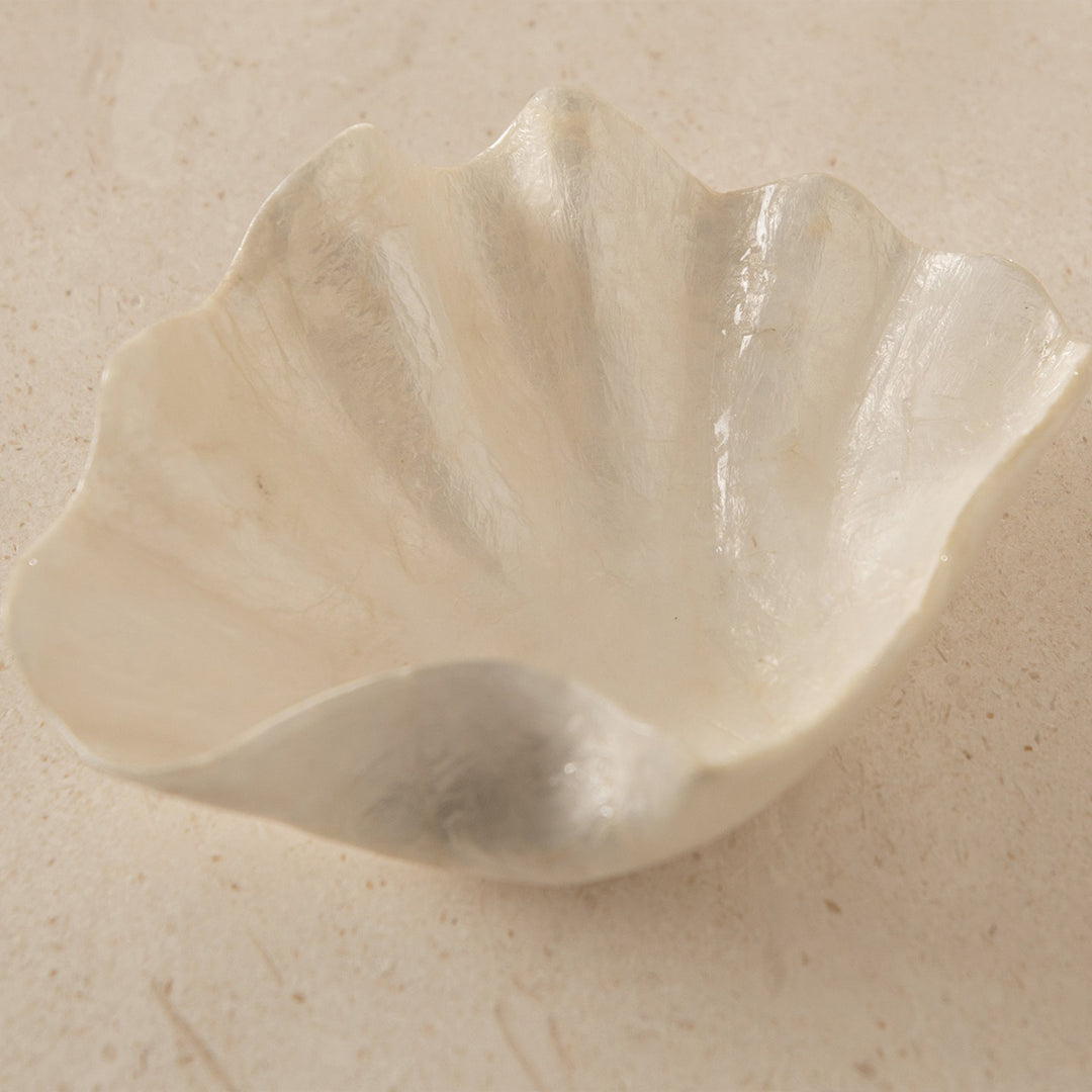 Clam Dish